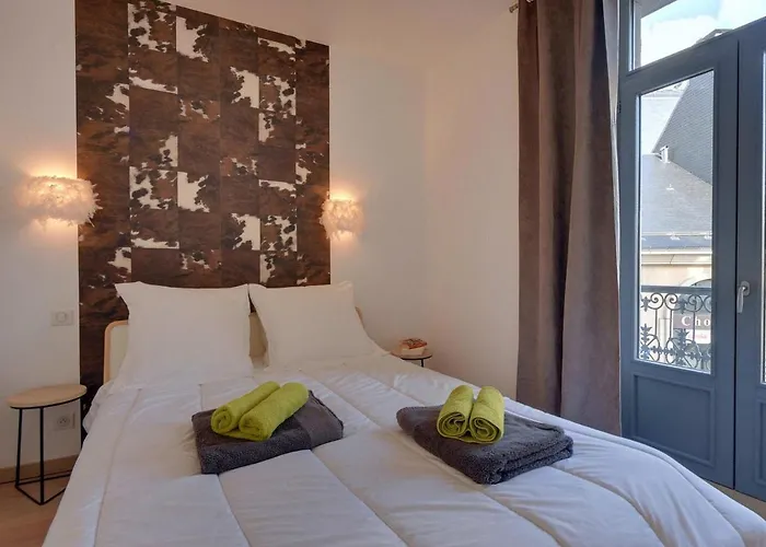 T3 Centre Avec Balcon Et Un Petit Chien Accepté - Fr-1-608-119 *