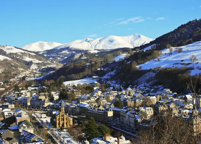 T3 Centre Avec Balcon Et Un Petit Chien Accepté - Fr-1-608-119