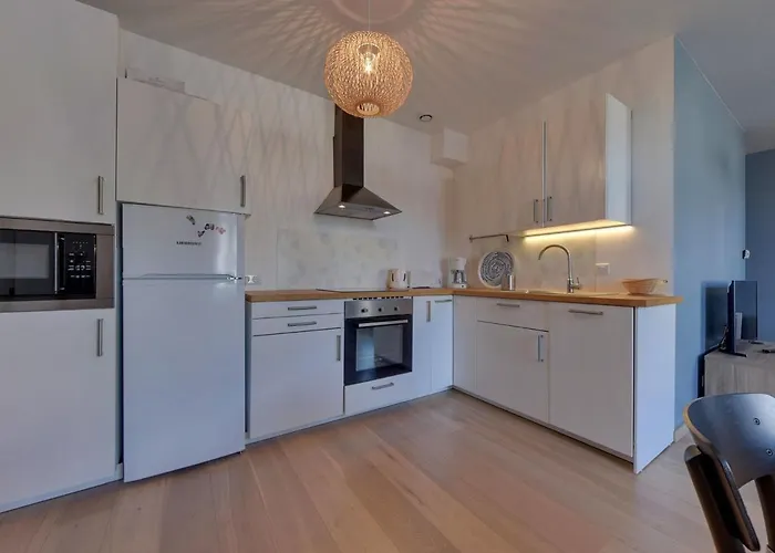 T3 Centre Avec Balcon Et Un Petit Chien Accepté - Fr-1-608-119